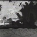 Films directed by Winsor McCay