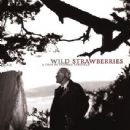Wild Strawberries