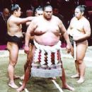 Sumo people from Hawaii