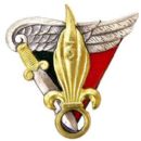 Military units and formations disestablished in 1955
