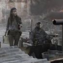 Fear the Walking Dead (2015) - 454 x 255