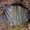 Puddle