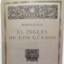 1924 Argentine novels