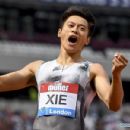 Xie Wenjun