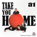 Take You Home