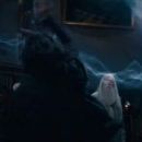 Harry Potter and the Deathly Hallows: Part 2 - Michael Gambon - 454 x 191