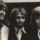 Bee Gees
