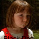 The Black Dog