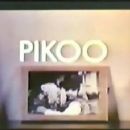 Pikoor Diary
