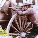 Alex Cord - 454 x 355
