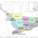 Assin South District