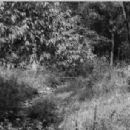 Years in Kansas Territory