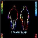 1 Giant Leap albums