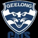 Australian rules football clubs in Geelong