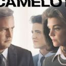 The Kennedys After Camelot