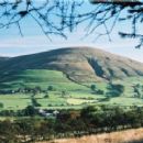 Hills of the Forest of Bowland