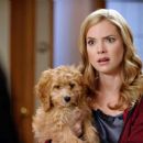 Cindy Busby - A Puppy for Christmas - 454 x 255