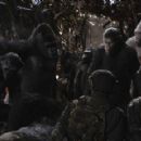 War for the Planet of the Apes (2017) - 454 x 290