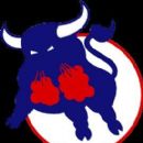 Ice hockey clubs established in 1976