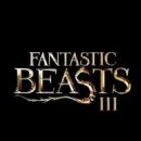 Fantastic Beasts: The Secrets of Dumbledore (2022) - 454 x 674