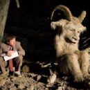 Where the Wild Things Are (2009) - 454 x 303