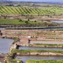 Wetlands of Portugal