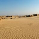 Dunes of Europe