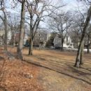 Savin Hill