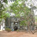 1503 in India
