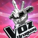 21st-century Uruguayan television series debuts