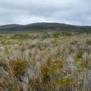 Herschel Island (Chile)