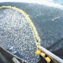 Environmental crime