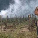 Fear the Walking Dead (2015) - 454 x 170