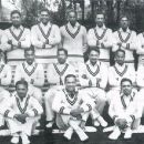 1910s in cricket