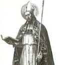 Bruno (Bishop of Segni)