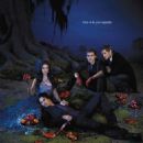 The Vampire Diaries (season 3) episodes