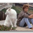 Rachel Ward as Jessie Wyler in Against All Odds (1984) - 454 x 266