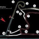 Shanghai ePrix