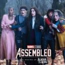 Marvel Studios: Assembled - Kathryn Hahn - 454 x 255