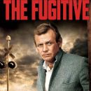 The Fugitive