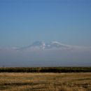 Shirak Plain