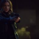 The Falcon and the Winter Soldier (TV Mini Serie - Emily VanCamp - 454 x 202