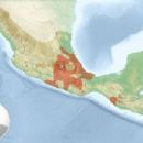 Pre-Columbian civilizations