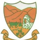 1887 in Gaelic games