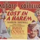 Lost in a Harem