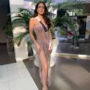 Carmina Cotfas- Miss Universe 2021- Preliminary Events - 454 x 509