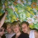 A Flock of Seagulls