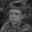 Bill Mumy- as Anthony Fremont - 454 x 255