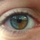 Eye Color: OTHER