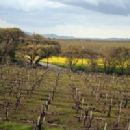 Wineries in Livermore Valley